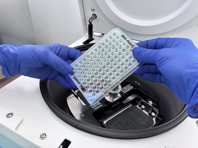 Laboratorio de Hematologia del Hospital Reina Sofía de Córdoba.