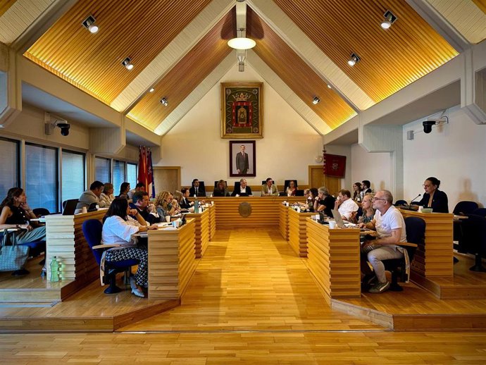 Pleno del Ayuntamiento de Ciudad Real
