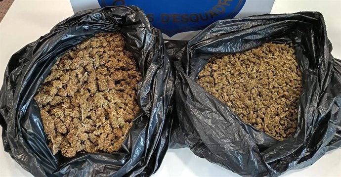2 Kg De Cogollos De Marihuana En Bolsas De Basura