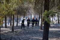Controlado un incendio de unas 16 hectáreas entre Estremera y la provincia de Guadalajara