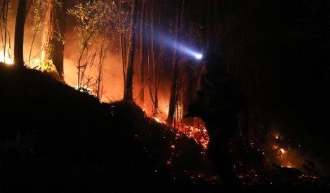 Medio Ambiente
