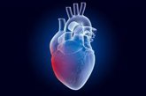Foto: ¿Qué causa los ataques cardíacos en adultos jóvenes si no es la placa arterial?
