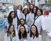 Foto: Una investigación de CIC bioGUNE halla una nueva vía para tratar un cáncer de hígado raro y agresivo