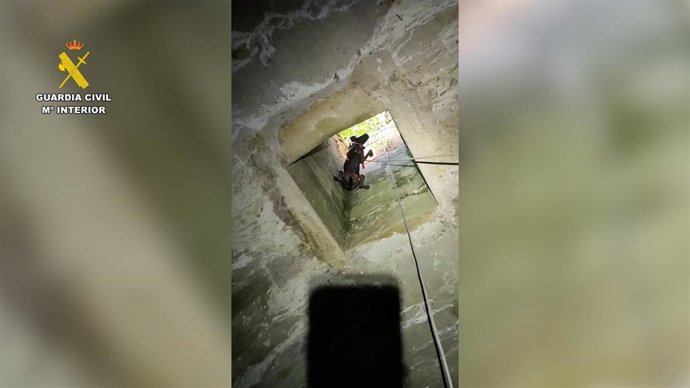 Vídeo de la noticia