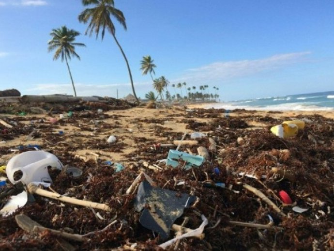Os plásticos estão em toda parte: desde as profundezas do oceano até as altas montanhas.