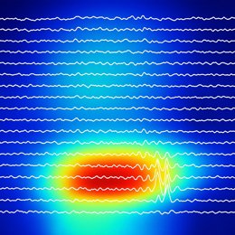 Los ritmos cerebrales revelan cómo el cerebro elige las rutas para procesar la información