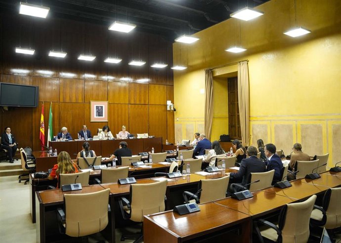 Imagen de este martes de la comparecencia del director general de la RTVA, Juan de Dios Mellado, en comisión parlamentaria.