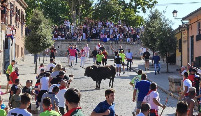 Saltavallas' protagoniza un Toro de la Vega bajo la vigilancia, por vez primera, de un dron para aumentar la seguridad .
