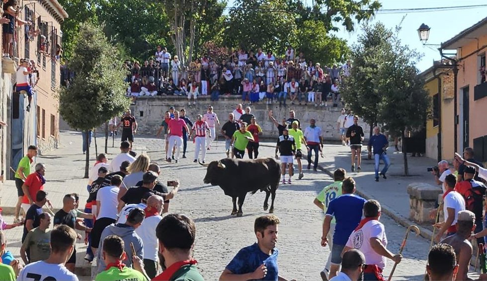 Saltavallas' protagoniza un Toro de la Vega bajo la vigilancia, por vez primera, de un dron para aumentar la seguridad .