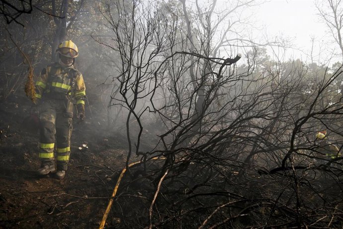 Varios bomberos forestales tratan de extinguir el fuego, a 19 de agosto de 2025, en Palacios de Compludo, León, Castilla y León (España). El incendio que se originó en Yeres y que afectó a Las Médulas sigue con Índice de Gravedad Potencial 2 (IGR) y se di