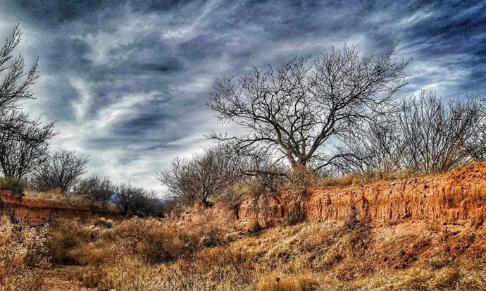 Imagen del yacimiento Clovis de Murray Springs