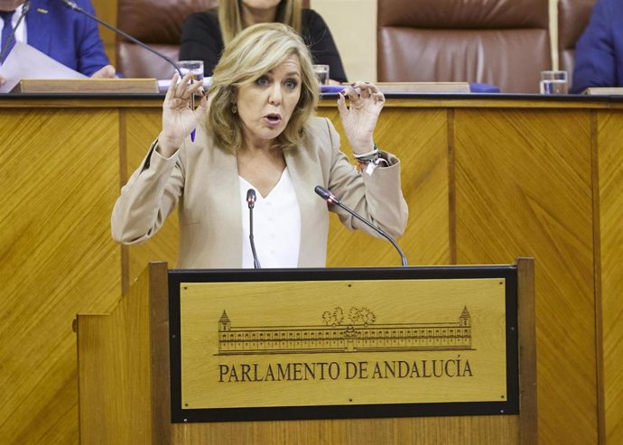 Archivo - La diputada del PSOE-A Ana María Romero, en el Pleno del Parlamento de Andalucía (Foto de archivo).