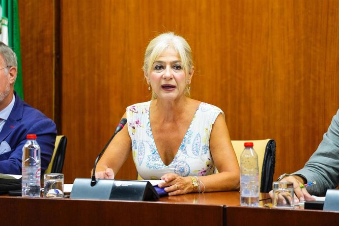 La consejera de Cultura y Deporte, Patricia del Pozo, durante la Comisión.