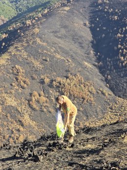 Imagen del reparto de alimentos para la fauna silvestre en los cuarteles de Boca de Huérgano, Portilla de la Reina y Vegacerneja, en la provincia de León, tras los incendios.