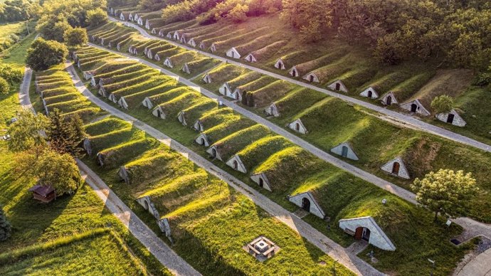 Un otoño en Tokaj, la joya vinícola de Hungría