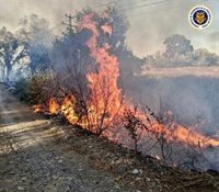 Un incendio iniciado en una cuneta calcina 3,5 hectáreas de una finca rural en Jerez (Cádiz)