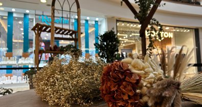 Comunicados Sociedad