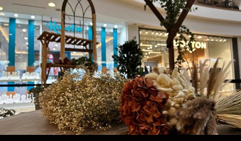 Comunicados Sociedad