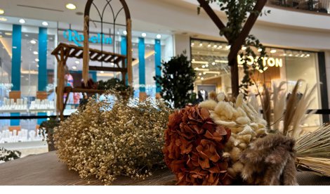 Comunicados Sociedad