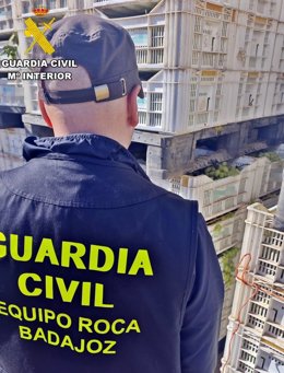 Inspección de la uva