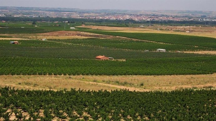 Imatge de recurs d'una zona de regadiu
