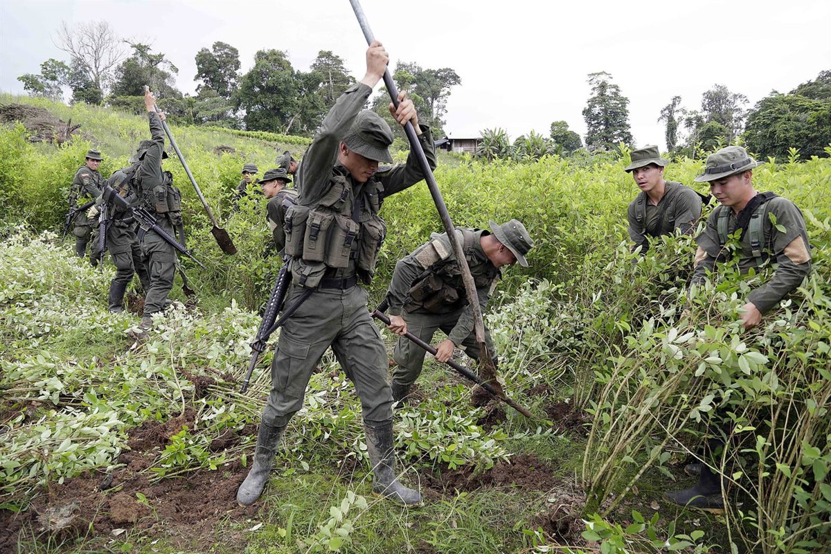 Colombia rechaza los "ultimátums" de EEUU e insiste en que seguirá con su política antidrogas como hasta ahora 