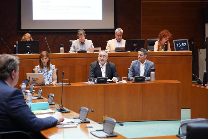 El presidente de Tradime Aragón, José Antonio Moliner, interviene ante la Comisión de Comparecencias Ciudadanas y Derechos Humanos de las Cortes de Aragón.