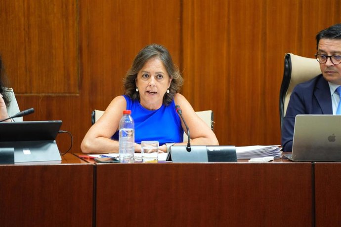 La consejera de Sostenibilidad y Medio Ambiente de la Junta de Andalucía, Catalina García, en comisión parlamentaria.