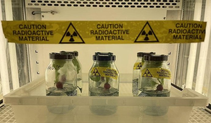 Testes laboratoriais para pesquisa
