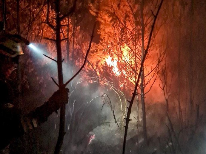 Un bombero forestal trabaja en un incendio en Alicante. 