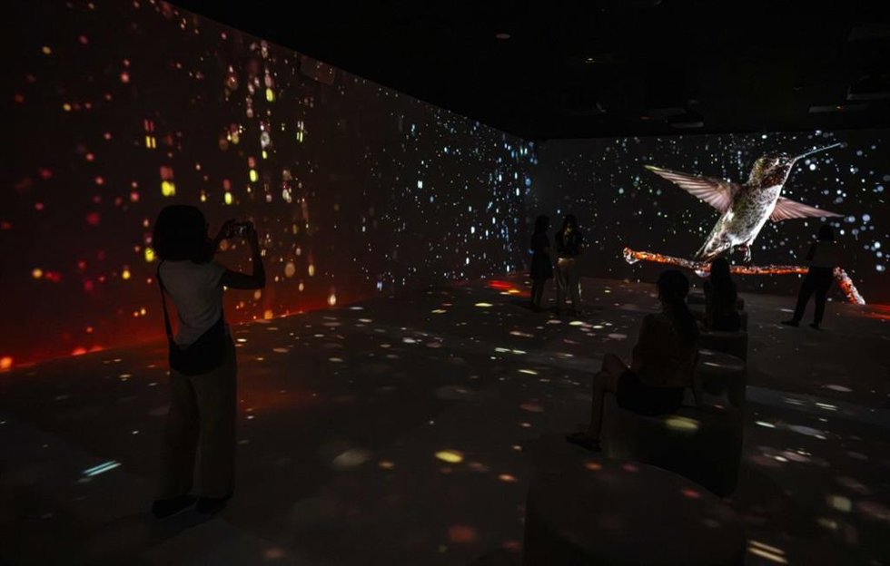 Exposición 'Somos Naturaleza' en CaixaForum de Barcelona