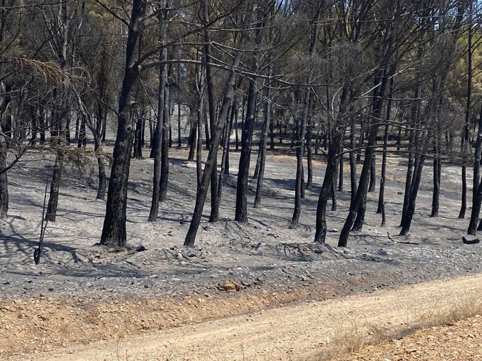 Archivo - Incendio entre Ateca y Moros, en 2022.