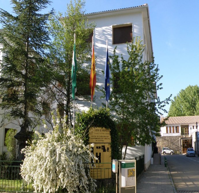 Archivo - Centro de Capacitación y Experimentación Forestal de Vadillo-Castril.