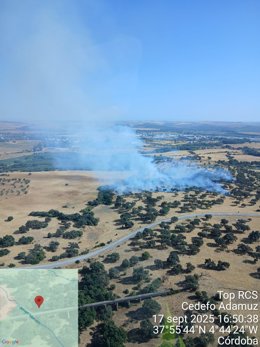 Incendio forestal en el paraje La Colina en el término de Córdoba.