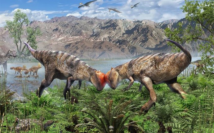 Dos jóvenes Zavacephale se baten en duelo por territorio a lo largo de la orilla de un lago hace 108 millones de años.