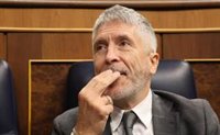 El Congreso frena el intento de Vox de reprobar a Marlaska por el incremento de la inseguridad