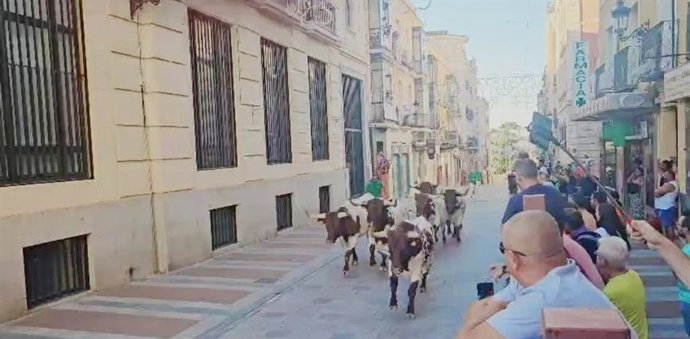 Simulacro de encierros por el casco en Guadalajara.