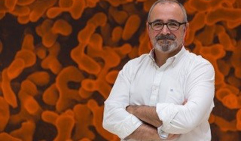Investigación