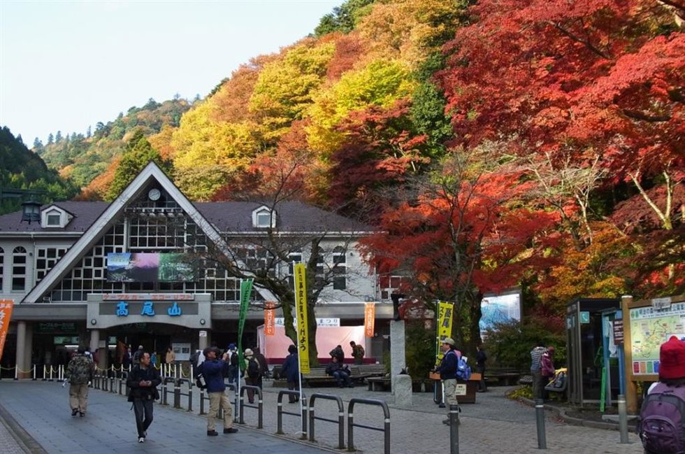 Monte Takao en otoño