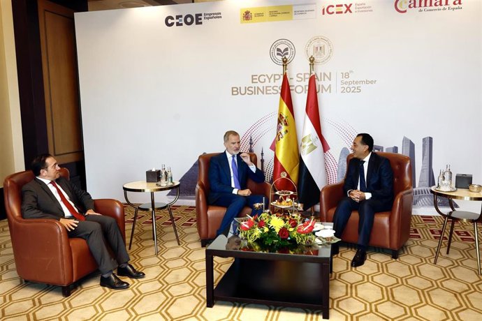 El Rey Felipe VI en el foro empresarial España-Egipto durante su visita de Estado