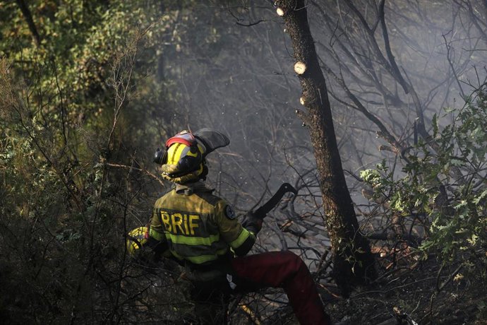 Varios bomberos forestales tratan de extinguir el fuego.