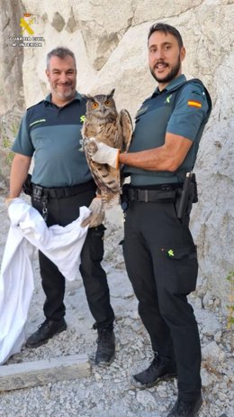 Agentes de la Guardia Civil junto a un búho real herido que habían rescatado en la localidad de Valdemanco (Madrid).