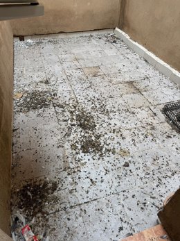 CSIF alerta de la "insalubridad" del centro penitenciario de Logroño