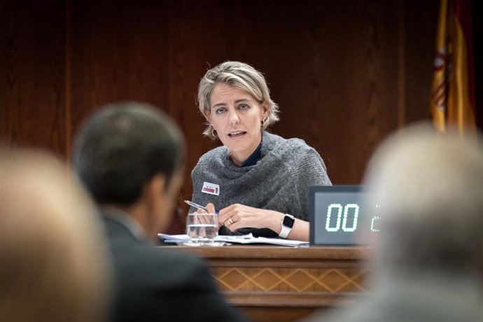 La directora de Regulación de la Asociación de Empresas de Energía Eléctrica (AELEC), Marta Castro Pérez-Chirinos, comparece ante la Comisión de Investigación sobre la interrupción del suministro eléctrico y de las comunicaciones el 28 de abril de 2025, e