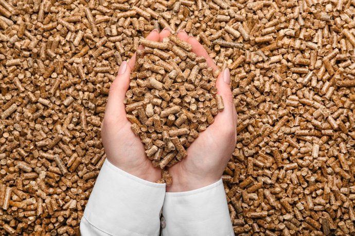 Archivo - Ivace+i Energía destina 750.000 euros para respaldar seis proyectos de biomasa de uso térmico