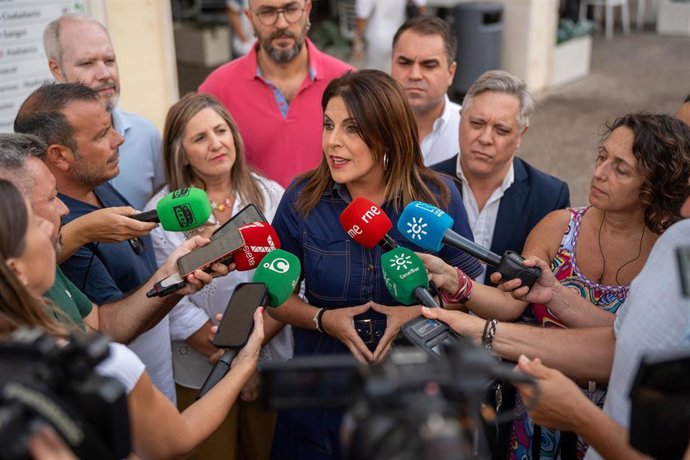 La portavoz adjunta del PSOE-A en el Parlamento andaluz, Ángeles Férriz, atiende a los medios ante el Hospital Puerta del Mar de Cádiz.