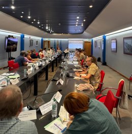 Comité de seguimiento del FSE+