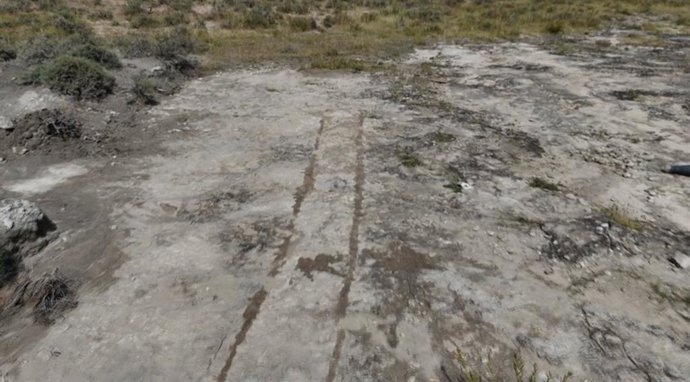 Huellas fósiles empleadas en el estudio