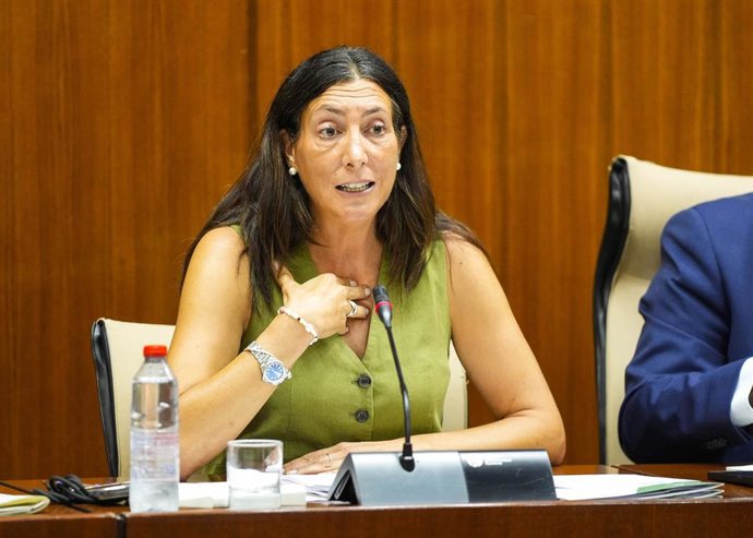 Loles López, consejera de Inclusión Social, Juventud, Familias e Igualdad, durante una de las comparecencias en comisión parlamentaria. A fecha de 18 de septiembre de 2025.