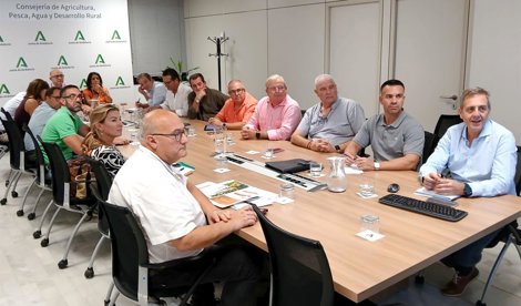 Es Andalucía - Sevilla